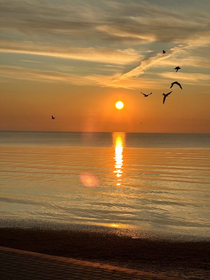 Sonnenaufgang mit Möwen Ostsee-Strandhaus Dahme